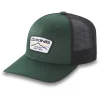 Dakine MTN Lines Trucker Cap Grün/schwarz 8